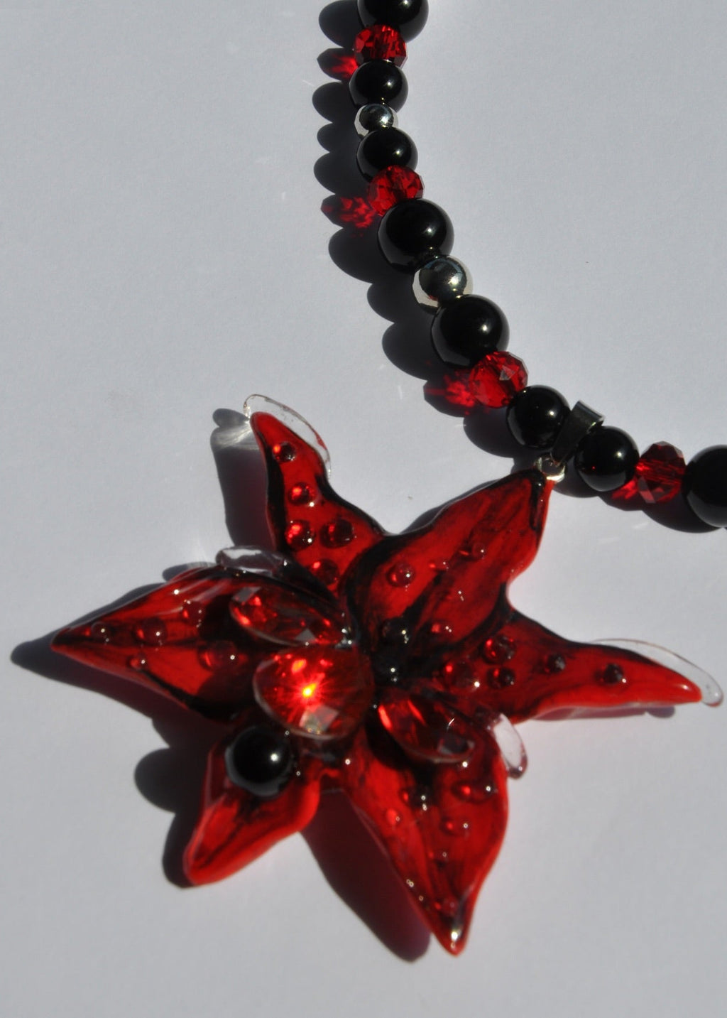 Stargazer Lily Love