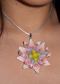 莲花开花了 Lotus in Spring